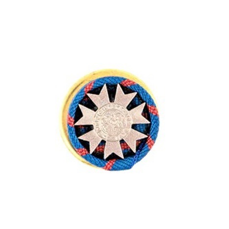 SMSG Lapel Pin
